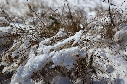 IMG_1217_Bildgrosse_andern