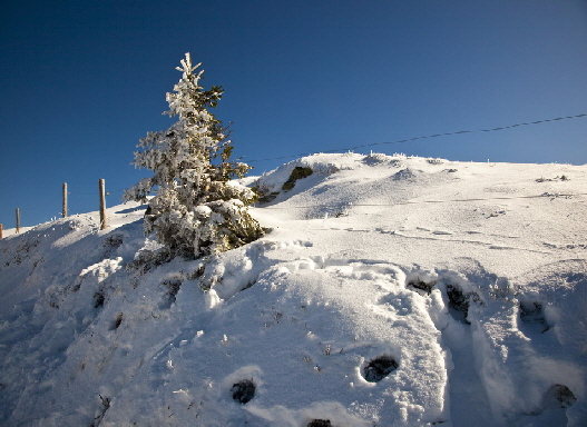 IMG_1222_Bildgrosse_andern