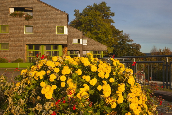 IMG_1310_Bildgrosse_andern